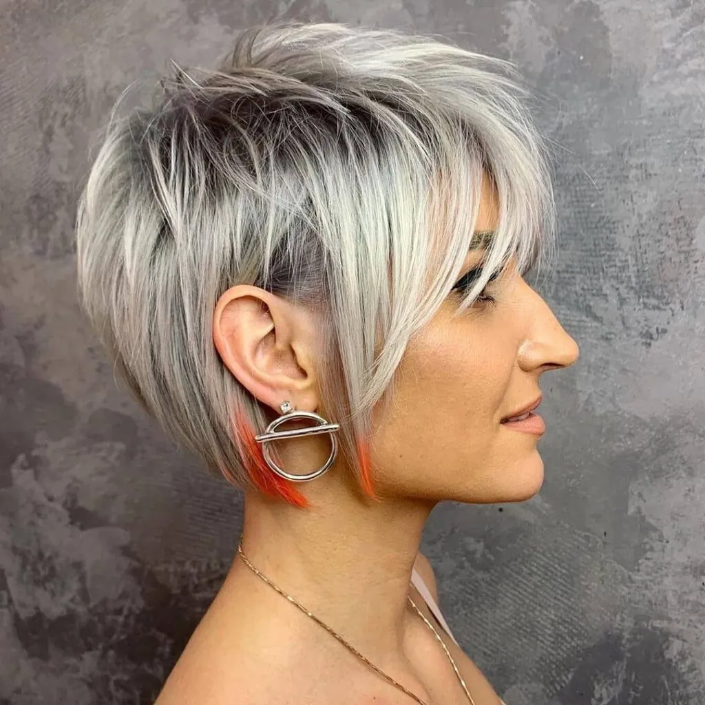 Shaggy Silver Pixie Bob with Bold Color Tips