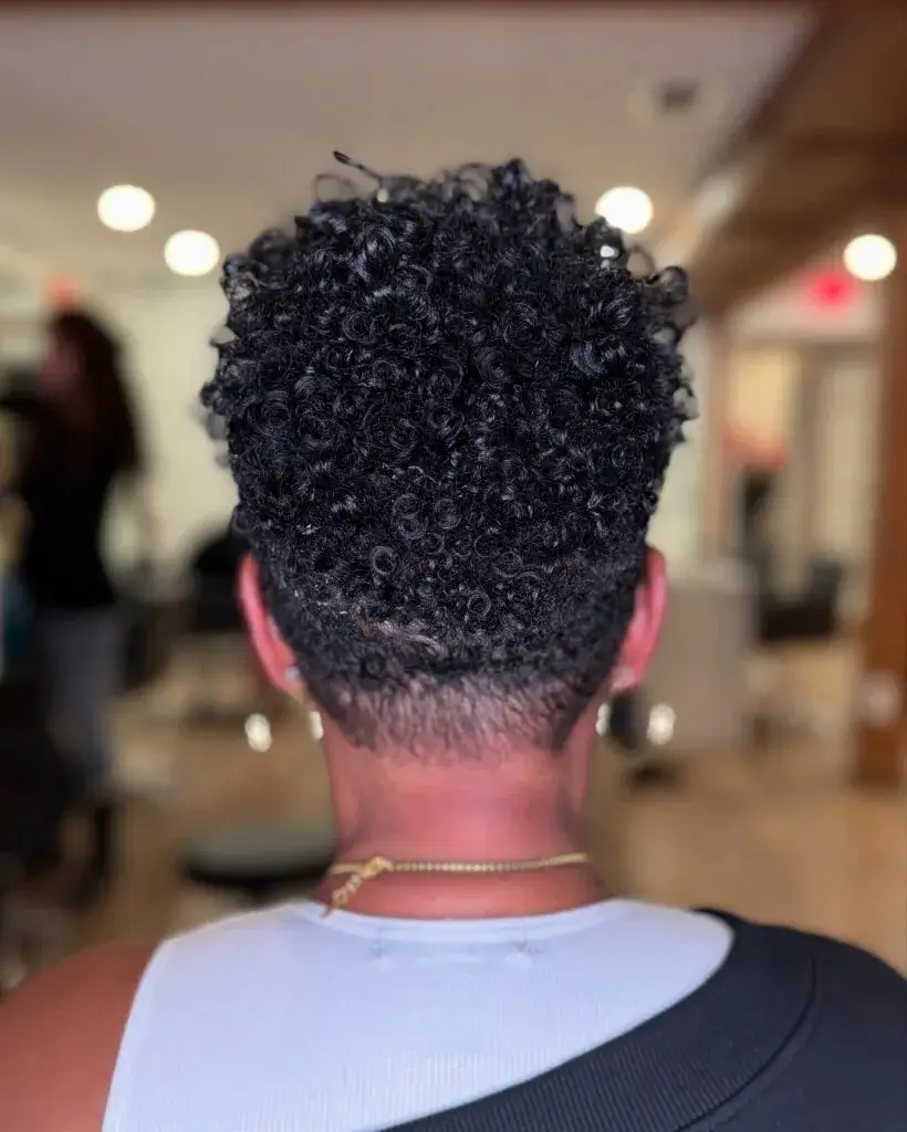 Tapered Curly Cut with Defined Coils Tapered Curly Cut with Defined Coils